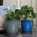 flower-pot-resin-grey-blue-styled