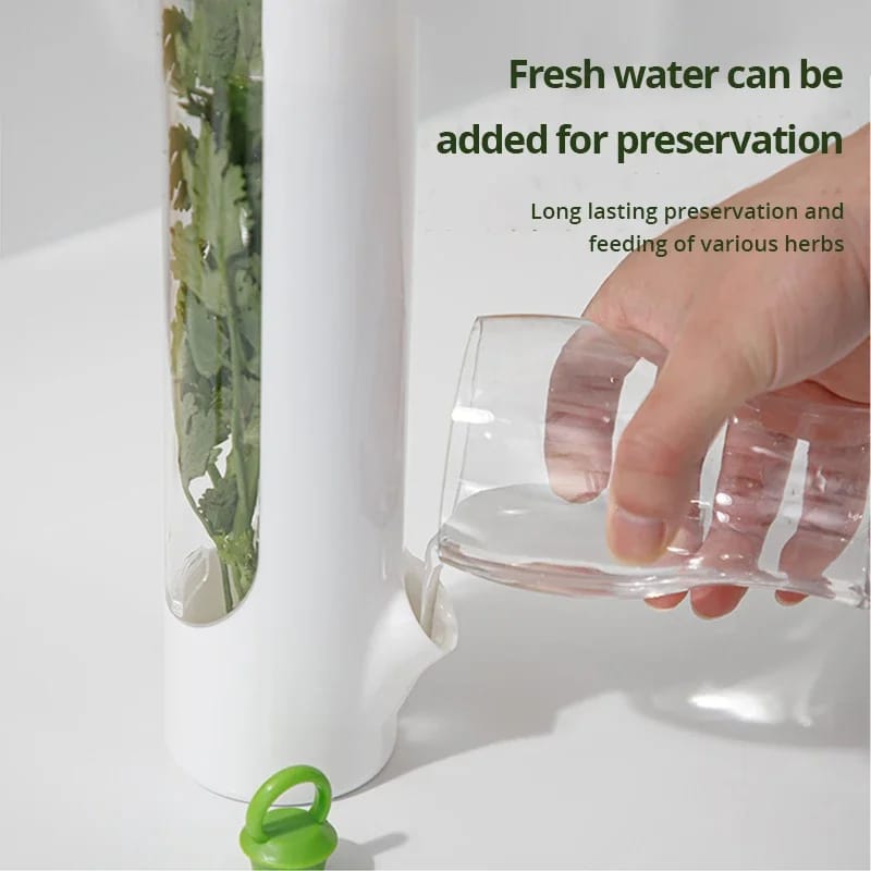 Herb Saver 6