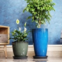 Glazed Flower Planter