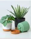 Plastic Flower Planter